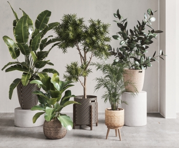 Modern Ground Green Plant Potted Plants-ID:797538047