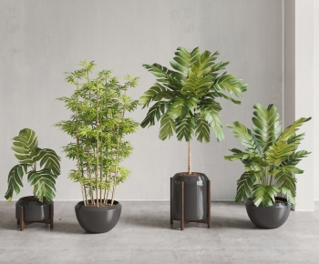 Modern Ground Green Plant Potted Plants-ID:946433078