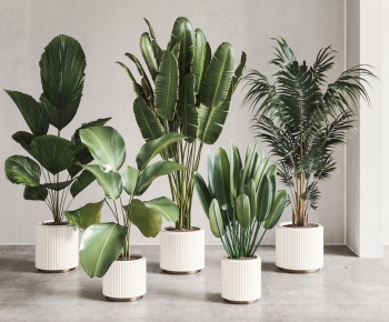 Modern Ground Green Plant Potted Plants-ID:687807081