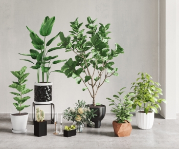 Modern Potted Green Plant-ID:434375053
