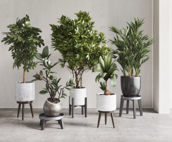 Modern Potted Green Plant-ID:867167952