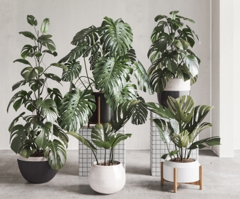 Modern Ground Green Plant Potted Plants-ID:719384913