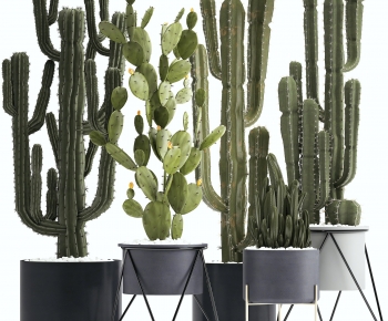 Modern Ground Green Plant Potted Plants-ID:214618924