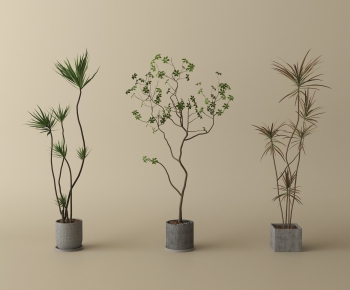 Modern Ground Green Plant Potted Plants-ID:978379965