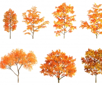 Modern Tree-ID:248081925