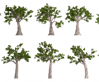 Modern Tree-ID:391730075