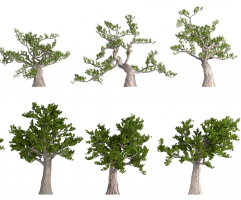 Modern Tree-ID:569842109