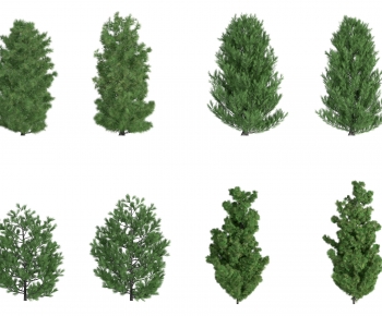 Modern Tree-ID:224291096