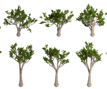 Modern Tree-ID:839123017
