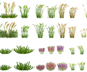 Modern Flowers And Grass-ID:787533043