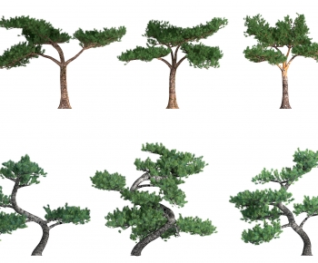 Modern Tree-ID:812516933