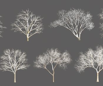 Modern Tree-ID:629501103