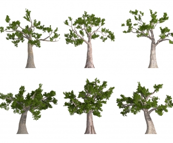 Modern Tree-ID:284421924