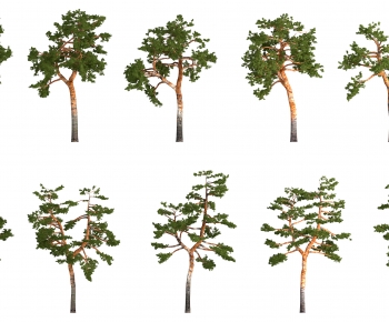 Modern Tree-ID:724000938