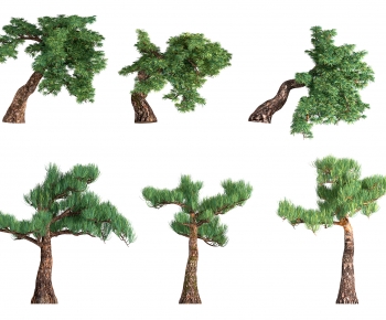 Modern Tree-ID:771301986
