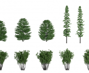Modern Tree-ID:276638036