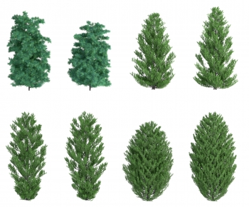 Modern Tree-ID:769489052