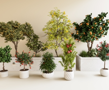 Modern Ground Green Plant Potted Plants-ID:317449643