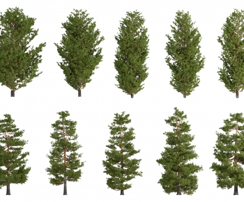 Modern Tree-ID:642343041