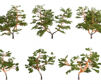 Modern Tree-ID:909309468