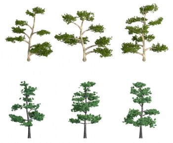 Modern Tree-ID:863774062