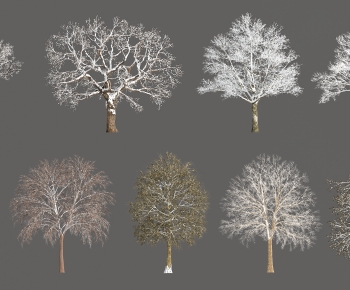 Modern Tree-ID:305839067