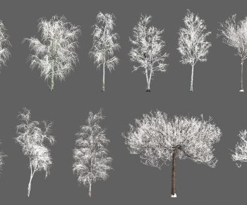 Modern Tree-ID:234219072