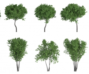 Modern Tree-ID:199425949