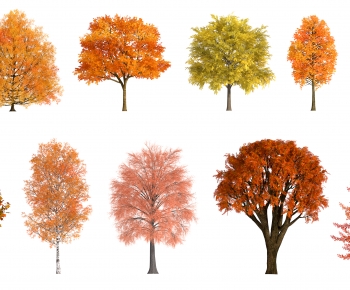 Modern Tree-ID:965672976