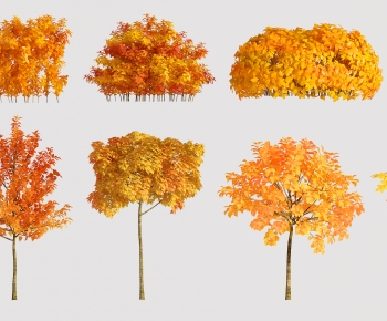 Modern Tree-ID:551728962