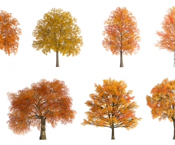Modern Tree-ID:130276921