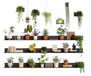 Modern Potted Green Plant-ID:136959641