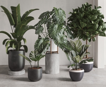 Modern Ground Green Plant Potted Plants-ID:888935091