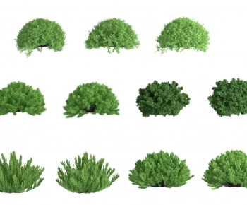 Modern Tree-ID:433015119