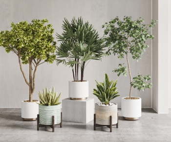 Modern Ground Green Plant Potted Plants-ID:112325915