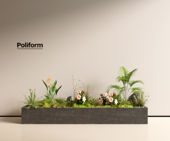 Modern Plant Landscaping-ID:119776012