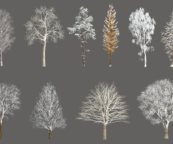 Modern Tree-ID:314505108