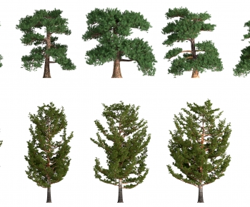 Modern Tree-ID:472712042