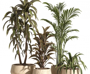 Modern Ground Green Plant Potted Plants-ID:706810002