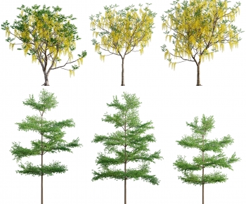 Modern Tree-ID:290846118