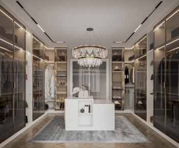 Modern Clothes Storage Area-ID:723481898