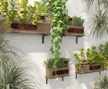 Southeast Asian Style Flower Bed, Flower Bowl, Flower Box-ID:625210055