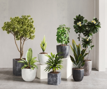 Modern Potted Green Plant-ID:901880342