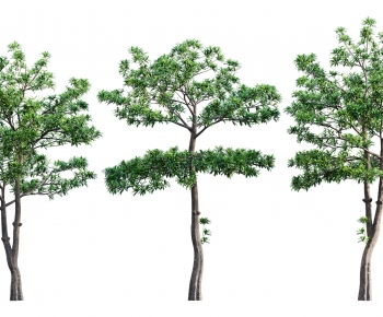 Modern Tree-ID:969691044