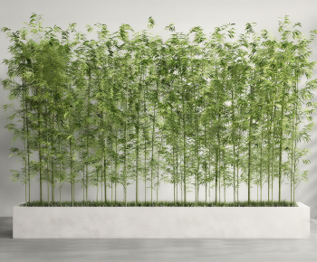 Modern Bamboo-ID:975450994