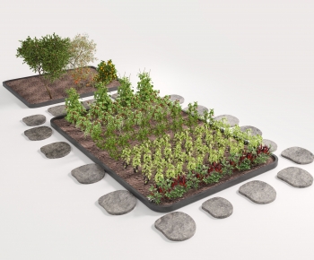 Modern Crop-ID:243113994