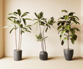 Modern Ground Green Plant Potted Plants-ID:542967082