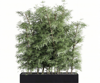 Modern Bamboo-ID:926971912