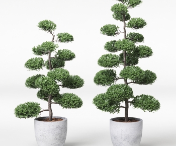 Modern Ground Green Plant Potted Plants-ID:836625108