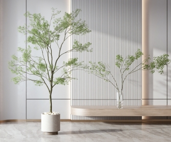 Modern Ground Green Plant Potted Plants-ID:342653995